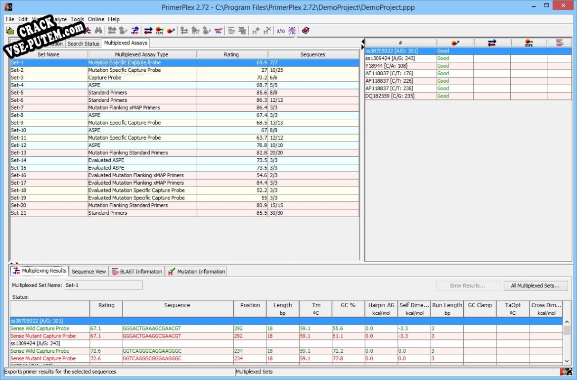 PrimerPlex + crack/ключ
