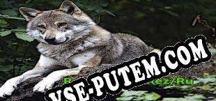 Reverse Me Rez/Ru (2019) | RePack от AAOCG