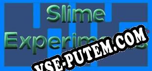 Slime Experiments (2023) | RePack от CiM
