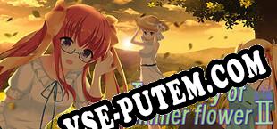 Trajectory of summer flower Ⅱ (2024/RUS/ENG/Пиратка)