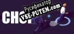 Русификатор для Choi