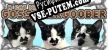 A Cat named Gossamergoober русская озвучка + субтитры