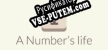 Русификатор для A Numbers life