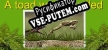 A toad well travelled русификатор озвучки + текст