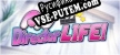 Русификатор на игру AV Director Life