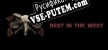 Русификатор для Best in the West