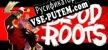 Bloodroots русификатор