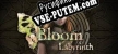 Русификатор для Bloom Labyrinth