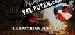 Русификатор для Carpathian Survival