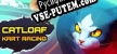 Catloaf Kart Racing русификатор