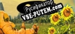 CosmoOdyssey 2 Comeback to origin русификатор