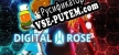 Digital Rose русификатор озвучки + текст