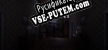 Русификатор Dismay