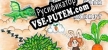 Dragon Boar and Lady Rabbit русификатор