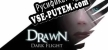 Русификатор на игру Drawn Dark Flight