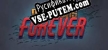 Русификатор для Dungeons Forever