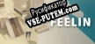 Feelin русификатор
