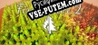 FireStarter 2 русификатор озвучки + текст