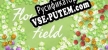 Русификатор FlowerField