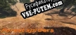 Forest spiders русская озвучка + субтитры