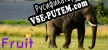 Fruit русская озвучка + субтитры