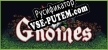 Русификатор на игру Gnomes