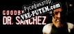 Русификатор на игру Goodbye Dr. Sanchez