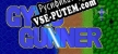 Русификатор на игру GyroGunner