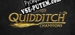 Русификатор Harry Potter Quidditch Champions