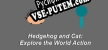 Hedgehog and Cat Explore the World Action русская озвучка + субтитры