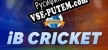 iB Cricket русификатор озвучки + текст