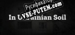 In Ukrainian Soil русификатор