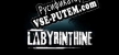 Labyrinthine русификатор озвучки + текст