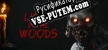 Light in the woods русификатор