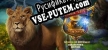 Русификатор Magic City Detective Wings Of Revenge Collectors Edition