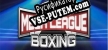 Mech League Boxing русская озвучка + субтитры