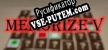 Memorize V русификатор озвучки + текст
