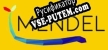 Русификатор Mendel