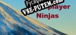 Multiplayer Ninjas русификатор