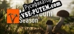 Русификатор Mushroom Season
