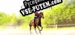 My Little Riding Champion русская озвучка + субтитры