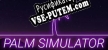Русификатор для Palm Simulator