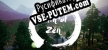 Path of Zen русская озвучка + субтитры