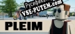 Pleim русская озвучка + субтитры
