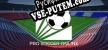 Pro Soccer Online русская озвучка + субтитры