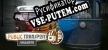 Public Transport Simulator русификатор