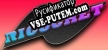 Русификатор для Ricochet