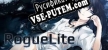 RogueLite русификатор