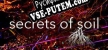 Secrets Of Soil русификатор озвучки + текст
