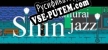 Русификатор для Shin Samurai Jazz